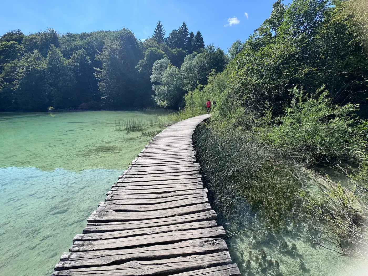 Ścieżka w Plitwicach